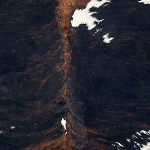 Closeup of this Colombian Tricolor Cowhide, showing a black and brown, brindle pattern, and some white spots (COTR1465)