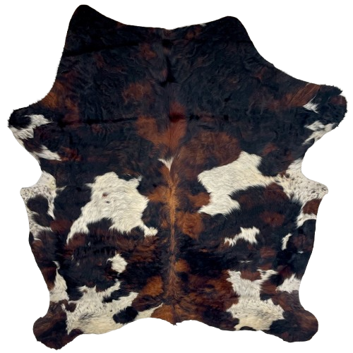 Colombian Tricolor Cowhide: has a mix of black and reddish brown and off-white spots that have black speckles and small spots - 7'5" x 6'1" (COTR1466)