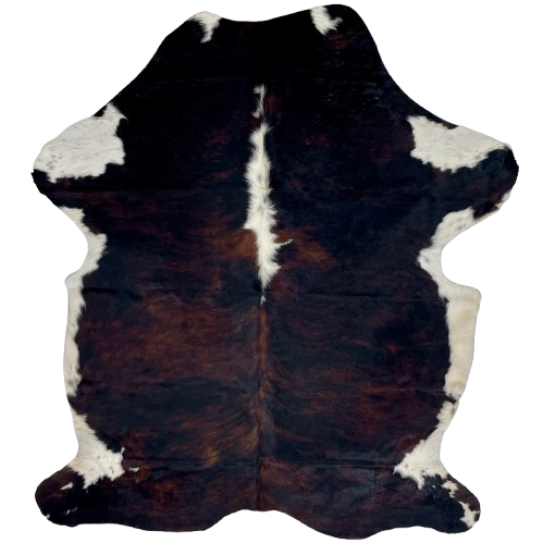 Large Colombian Dark Tricolor Cowhide: has a black and reddish brown, brindle pattern, white down part of the spine and shanks, and on the belly - 7'9" x 5'6" (COTR1469)