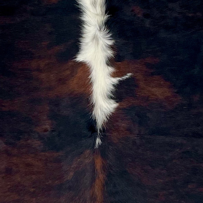 Closeup of this Large Colombian Dark Tricolor Cowhide, showing a black and reddish brown, brindle pattern, and white down part of the spine (COTR1469)