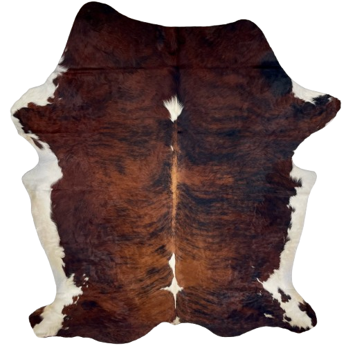 Colombian Tricolor Cowhide: has a reddish brown and black, brindle pattern, a couple white spots on the spine, and off-white on the belly and part of the shanks - 7'4" x 5'4" (COTR1470)