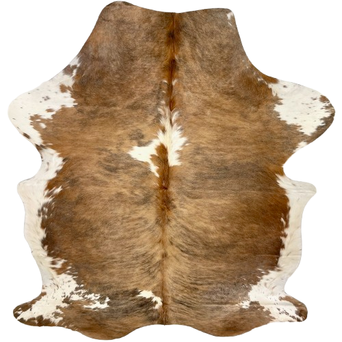 Colombian Tricolor Cowhide: light brown with faint, black, brindle markings, two white spots down the middle and white on the belly and part of the shanks - 7'2" x 5'3" (COTR1471)