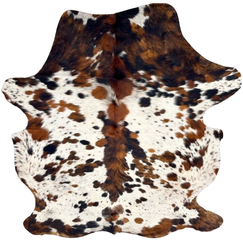 Colombian Speckled Tricolor Cowhide: white with reddish brown and black speckles and spots, and longer hair down the spine - 7'1" x 5'7" (COTR1474)