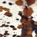Closeup of this Colombian Speckled Tricolor Cowhide, showing white with reddish brown and black speckles and spots, and longer hair down the spine  (COTR1474)