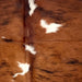Closeup of this Large Tricolor Colombian Cowhide, showing reddish brown with black, brindle markings, and a few white spots (COTR1478)