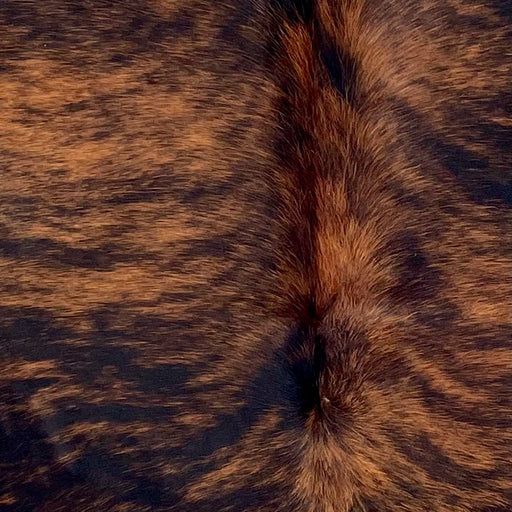 closeup of this Tricolor Colombian Cowhide, showing a black and brown, brindle markings (COTR1481)
