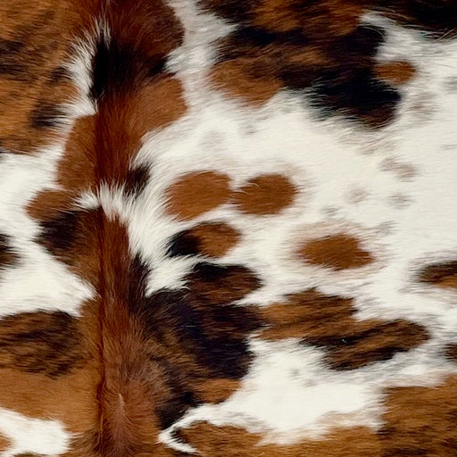 Closeup of this Large Colombian Speckled Tricolor Cowhide, showing white with brown and black spots and faint, brown and black speckles (COTR1482)