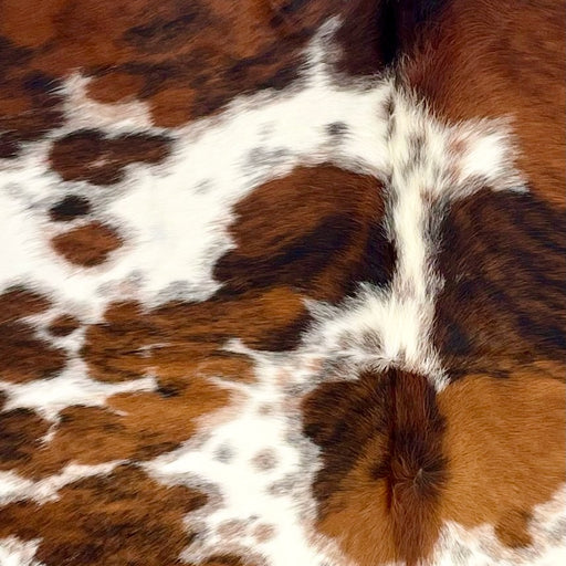 Closeup of this Large Tricolor Speckled Colombian Cowhide, showing white with black and brown speckles, and large and small spots with a mix of brown and black COTR1487)