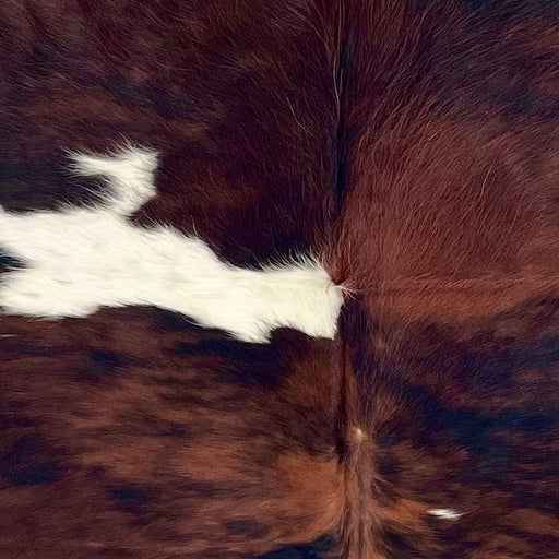 Closeup of this Large Colombian Tricolor Cowhide, showing a mix of red brown and black, and small and large, white spots  (COTR1488)