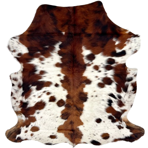 Colombian Speckled Tricolor Cowhide: long hair that is white with red brown and black spots and speckles - 5'11" x 4'11" (COTR1489)