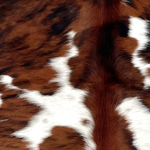 Closeup of this Colombian Tricolor Cowhide, showing white with red brown and black spots (COTR1490)