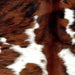 Closeup of this Colombian Tricolor Cowhide, showing white with red brown and black spots (COTR1490)