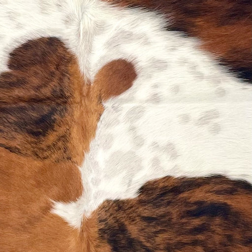 Closeup of this Colombian Tricolor Cowhide, showing white with large spots that have a red brown and black, brindle pattern, and faint black and reddish brown speckles (COTR1491)