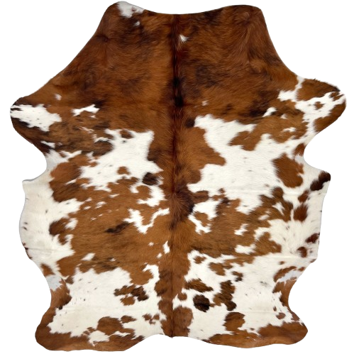 Colombian Tricolor Cowhide: white brown spots, some having a mix of brown and black - 6'5" x 4'11" (COTR1493)
