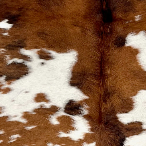 Closeup of this Colombian Tricolor Cowhide, showing white brown spots, some having a mix of brown and black  (COTR1493)
