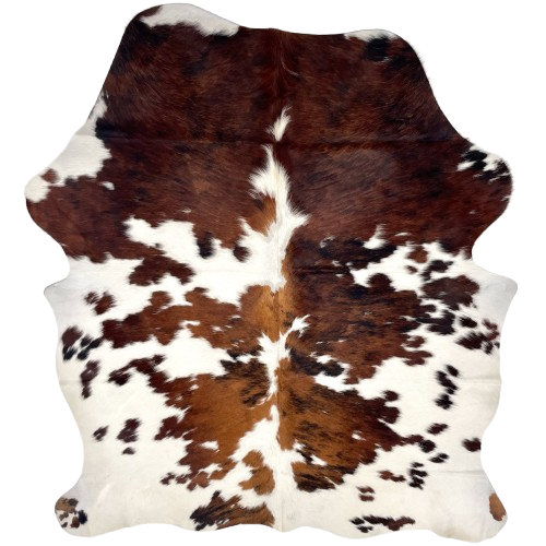 Colombian Tricolor Cowhide: white with large and small spots that have a mix of brown and black - 6' x 4'11" (COTR1494)