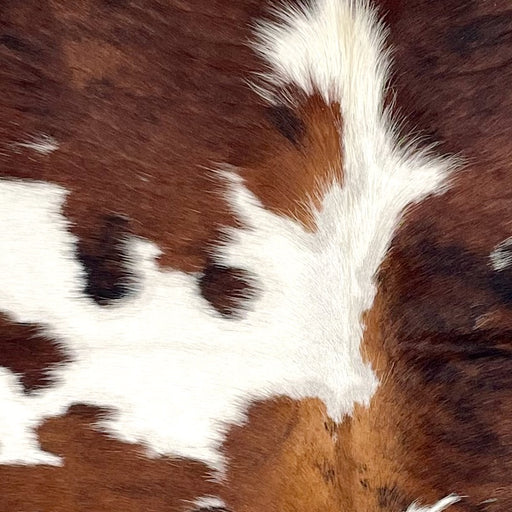 Closeup of this Colombian Tricolor Cowhide, showing white with large and small spots that have a mix of brown and black (COTR1494)