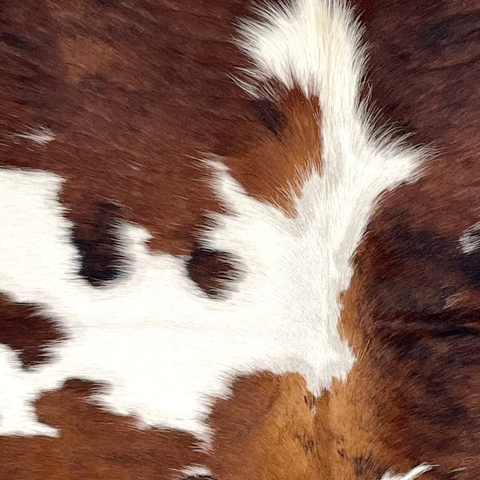 Closeup of this Colombian Tricolor Cowhide, showing white with large and small spots that have a mix of brown and black (COTR1494)