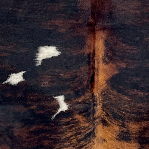 Closeup of this Colombian Dark Tricolor Cowhide, showing a mix of black and reddish brown, and a few white spots with black speckles (COTR1495)