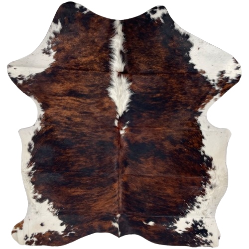 Colombian Tricolor Cowhide: has a mix of black and reddish brown, white ,longer hair down part of the spine, and white on the belly and part of the shanks and butt - 6'2" x 5' (COTR1496)