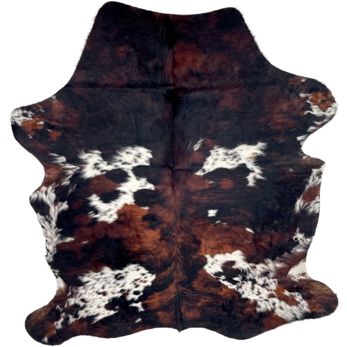 Colombian Tricolor Cowhide: has long hair that is a mix of black and red brown, and white spots that have black and brown spots - 6'1" x 4'10" (COTR1497)