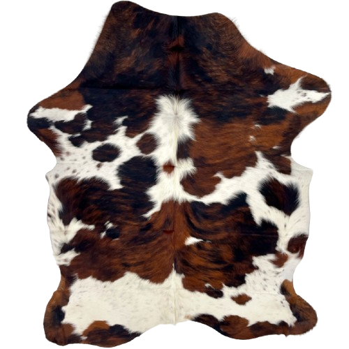 Colombian Tricolor Cowhide: white with large and small spots that have a reddish brown and black, brindle pattern, and it has longer hair down the spine - 6'4" x 4'5" (COTR1498)