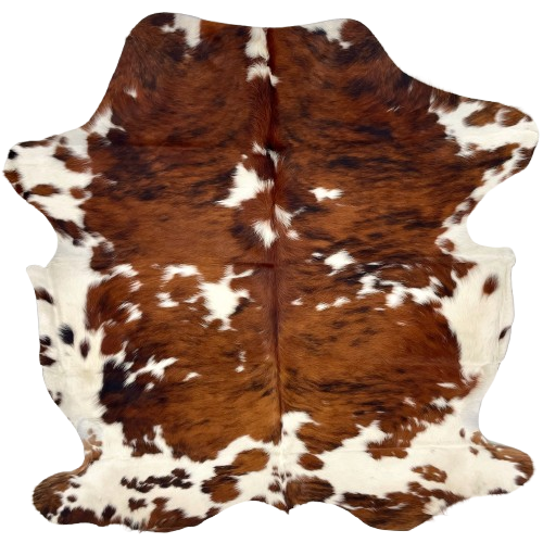 Colombian Tricolor Cowhide: white with large and small spots that have a reddish brown and black, brindle pattern - 6'2" x 5' (COTR1499)
