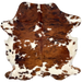 Colombian Tricolor Cowhide: white with large and small spots that have a reddish brown and black, brindle pattern - 6'2" x 5' (COTR1499)