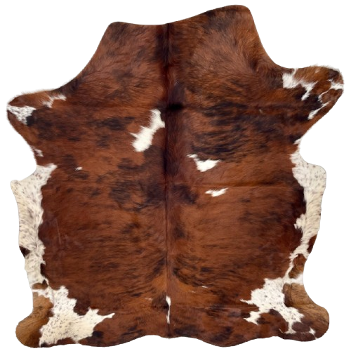 Colombian Tricolor Cowhide: red brown with black, brindle markings, a few small, white spots, and white with red brown speckles on the belly and part of the shanks - 6'4" x 5' (COTR1500)