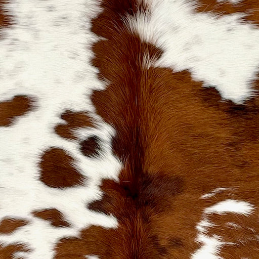 Closeup of this Colombian Tricolor Cowhide, showing white with small and large, brown spots, some having a mix of brown and black (COTR1503)