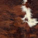Closeup of this Colombian Tricolor Cowhide, showing a reddish brown and black, brindle pattern, a few white spots down the middle, and longer hair down the spine (COTR1504)