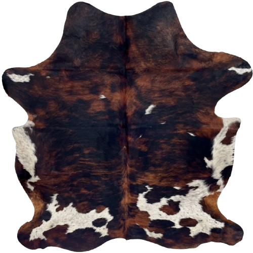 Colombian Tricolor Cowhide: has a mix of black and reddish brown and white spots that have black speckles - 6'5" x 5'1" (COTR1505)