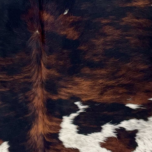 Closeup of this Colombian Tricolor Cowhide, showing a mix of black and reddish brown and white spots that have black speckles (COTR1505)