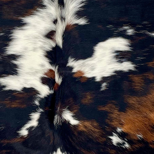 Closeup of this Colombian Tricolor Cowhide, showing a mix of black and reddish brown, and white spots with black speckles (COTR1506)