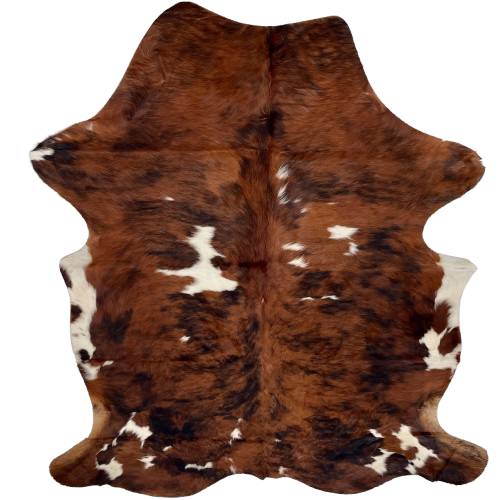 Colombian Tricolor Cowhide: red brown with black and white spots - 7' x 5' (COTR1509)