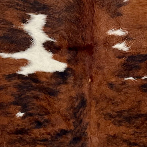 Closeup of this Colombian Tricolor Cowhide, showing red brown with black and white spots (COTR1509)