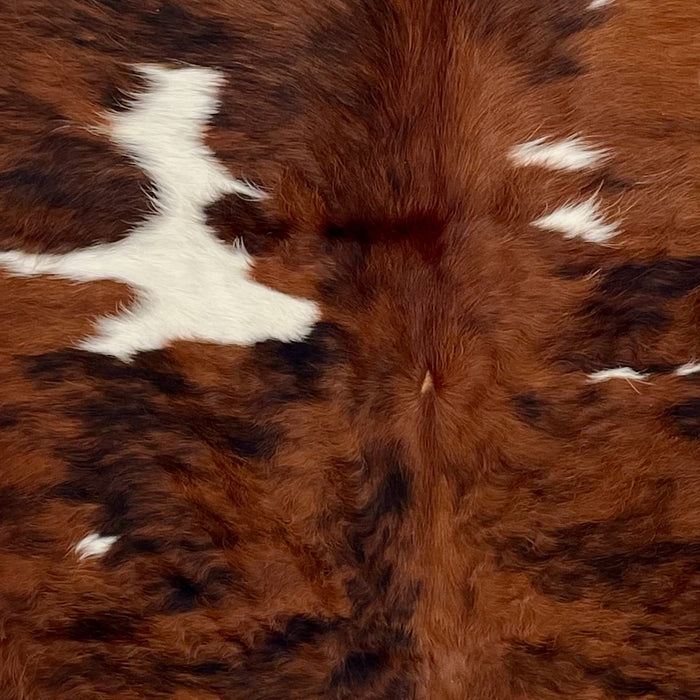 Closeup of this Colombian Tricolor Cowhide, showing red brown with black and white spots (COTR1509)
