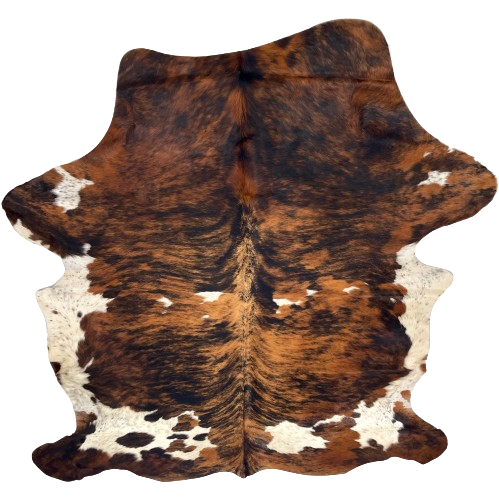 Large Tricolor Colombian Cowhide: has a black and brown, brindle pattern and large and small off-white spots with black speckles - 7'6" x 5'8" (COTR1511)