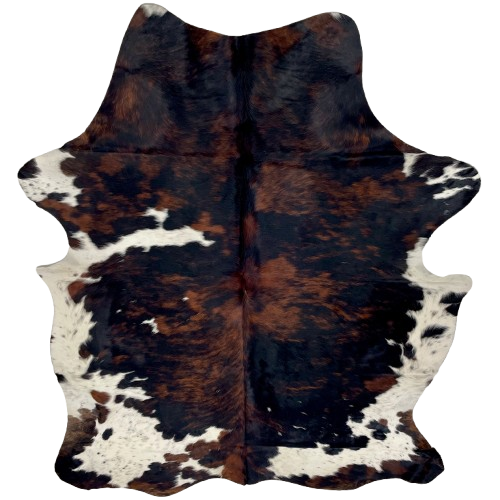Colombian Tricolor Cowhide: has a mix of black and reddish brown, some small and large, white spots with black speckles, and white with black speckles on the belly - 7'2" x 5'3" (COTR1513)