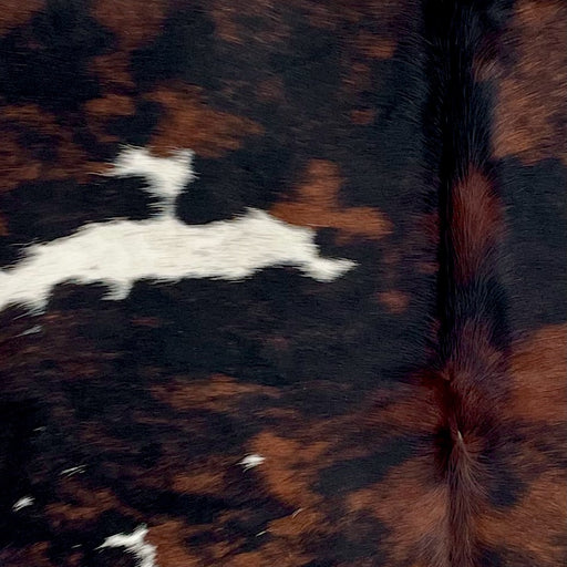 Closeup of this Colombian Tricolor Cowhide, showing a mix of black and reddish brown, and some small, white spots with black speckles  (COTR1513)