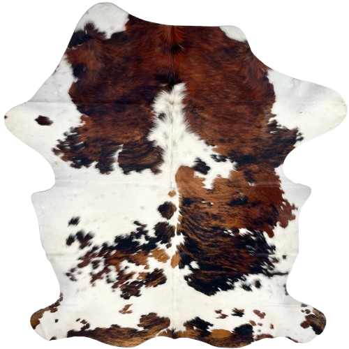 Colombian Tricolor Cowhide: white with large and small spots that have a brown and black, brindle pattern - 7' x 4'10" (COTR1516)