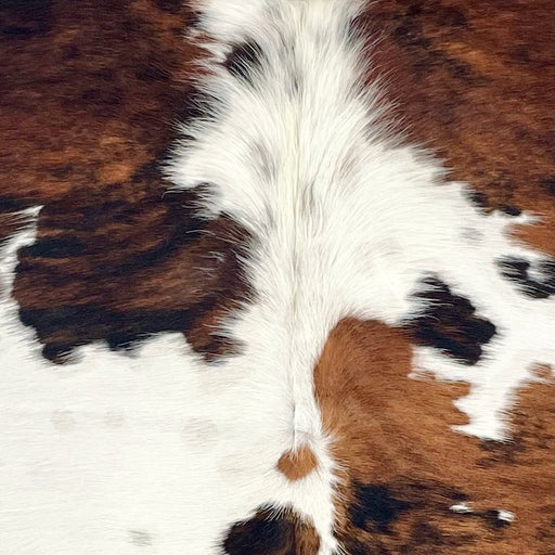 Closeup of this Colombian Tricolor Cowhide, showing white with large and small spots that have a brown and black, brindle pattern (COTR1516)