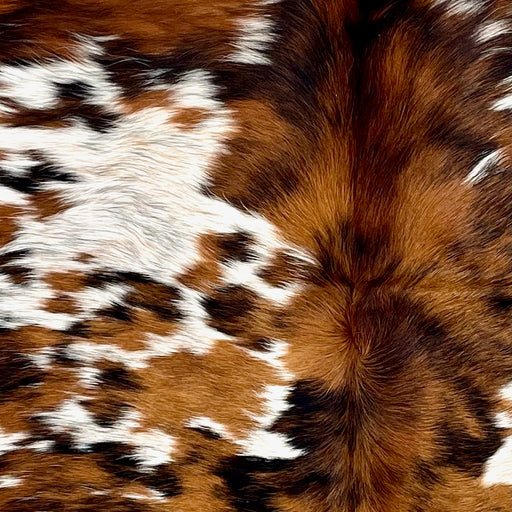Closeup of this Colombian Speckled Tricolor Cowhide, showing white white with reddish brown and black speckles and large and small spots (COTR1517)