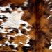 Closeup of this Colombian Speckled Tricolor Cowhide, showing white white with reddish brown and black speckles and large and small spots (COTR1517)