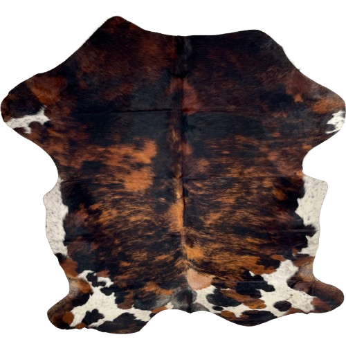 Colombian Tricolor Cowhide: has a mix of black and red brown and white spots with black speckles - 7' x 5'4" (COTR1518)