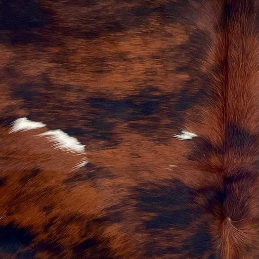 Closeup of this Colombian Tricolor Cowhide, showing a mix of black and red brown, and small, white spots (COTR1519)