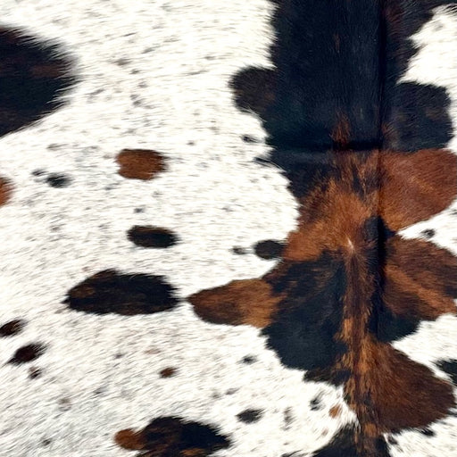 Closeup of this Tricolor Speckled Colombian Cowhide, showing white with reddish brown and black speckles and spots (COTR1521)