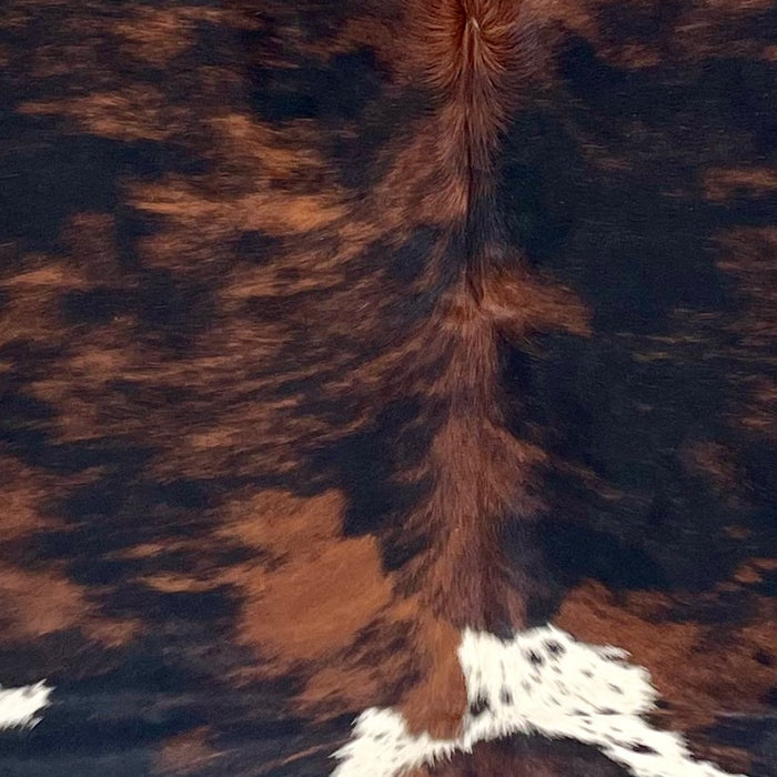 Closeup of this Large Colombian Tricolor Cowhide, showing a mix of black and reddish brown, and white spots that have black speckles (COTR1524)