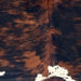 Closeup of this Large Colombian Tricolor Cowhide, showing a mix of black and reddish brown, and white spots that have black speckles (COTR1524)