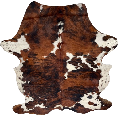 XL Colombian Tricolor Cowhide: has a reddish brown and black, brindle pattern, and large and small, white spots, some with black and brown speckles - 8'1" x 5'8" 